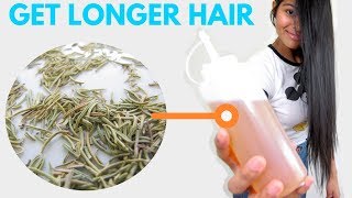 ROSEMARY WATER For Hair Growth  ➻ How To Use Rosemary For Hair Growth [upl. by Aicelet]