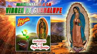 Mañanitas a la Virgen de Guadalupe  Nini Estrada DISCO COMPLETO [upl. by Ynnavoig567]