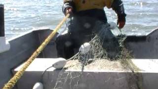 Bristol Bay Commercial Fishing 2010 [upl. by Derwood]