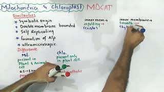 The Endosymbiotic Theory  NMDCAT 2021 [upl. by Holcomb]