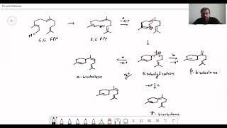 Sesquiterpenes And Diterpenes  Mevalonate Pathway [upl. by Anifled975]