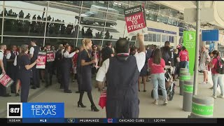 American Airlines flight attendants picketing at DFW airport [upl. by Jaal545]