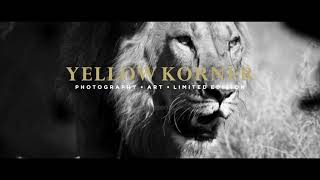 Laurent Baheux  YellowKorner [upl. by Eenaj]