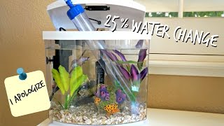 25 WATER CHANGES  HOW TO BETTA [upl. by Sawyor787]