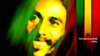 Bob Marley  Walk The Proud Land [upl. by Skelton192]