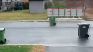 When the VTEC KICKED IN YO  Trash can edition  Funny video [upl. by Notlimah168]