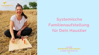 Systemische Familienaufstellung für Dein Haustier [upl. by Dombrowski973]