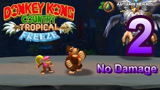 Donkey Kong Country Tropical Freeze  World 2 Autumn Heights  No Damage  All Collectibles [upl. by Hafital]