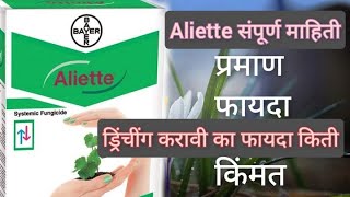 Aliette fungicide in marathi  aliette bayer aliette संपूर्ण माहिती  ड्रिंचींग फायदा [upl. by Lalla]