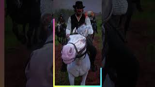 Loot the burned Braithwaite Manor Red Dead Redemption 2 shorts reddeadredemption arthurmorgan [upl. by Yung]