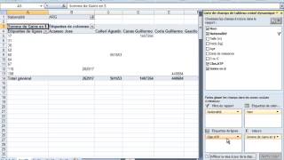 Excel 2007 tutoriel 8  Fonctions avancées des tableaux croisés dynamiques [upl. by Giark]