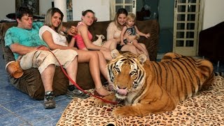 Living With Tigers Family Share Home With Pet Tigers [upl. by Grose]