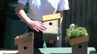 Green roofed bird boxes [upl. by Ylloj]