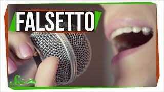 How Do You Sing in Falsetto [upl. by Neddra665]