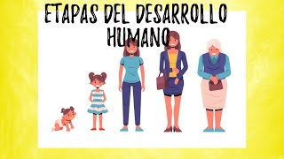 Etapas del desarrollo humano  video educativo [upl. by Niggem549]