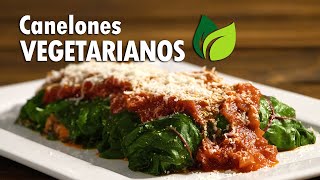 CANELONES VEGETARIANOS FÁCILES 🥦 ▶ RINDE para 24 PORCIONES bien GENEROSAS [upl. by Eerihs156]