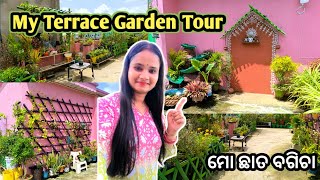 Rooftop Garden Tour  Terrace Garden Tour  ମୋ ଛାତ ବଗିଚା ରେ ଟିକେ ବୁଲି ଯାଆନ୍ତୁ  🪴🪴🪴 [upl. by Lhamaj]