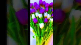 Flower Status video viral amazing trending video [upl. by Warms617]