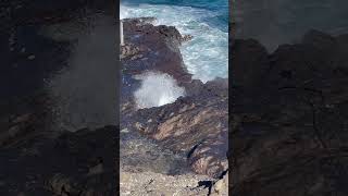 Halona Blowhole Lookout hawaii viral trending youtube lookout shorts shortvideo youtube [upl. by Jemena]