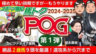 【POG情報20242025】２歳馬情報を大公開！エピファネイア産駒、サートゥルナーリア産駒、キズナ産駒など…競馬 pog 2歳馬情報 [upl. by Berne]