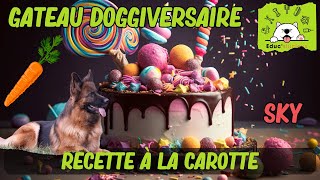 RECETTE FACILE  Gâteau pour CHIEN à la CAROTTE  🥕🐾 [upl. by Arly]