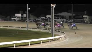 Mildura Harness Racing Club 8 Aug 2023 Trial 7 [upl. by Heddy997]