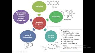 Biodegradation of Xenobiotics [upl. by Sexela895]