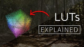 LUTs Explained 1D vs 3D LUT [upl. by Aluor729]