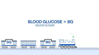 The Blood Glucose Sugar Lag Train How to use your Livongo meter and CGM together [upl. by Nnahaid495]