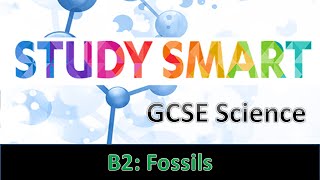 B2 Fossils EDEXCEL [upl. by Roscoe]