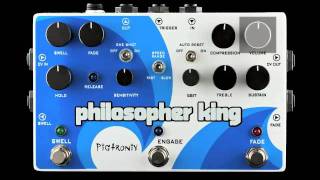 Pigtronix Philosopher King Pedal [upl. by Erbma]