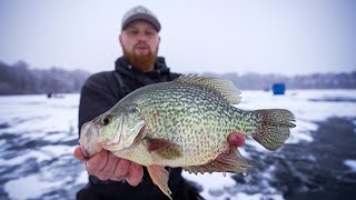 Chasing GIANT Early Ice Crappie with MinnDakOutdoors FEEDING FRENZY [upl. by Orgalim715]