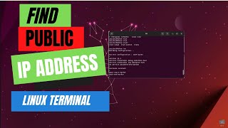 How to Get Public IP from Terminal on Linux Ubuntu [upl. by Tolliver801]