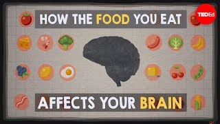 How the food you eat affects your brain  Mia Nacamulli [upl. by Aynotan]