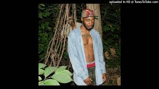 JPEGMAFIA  Communist Slow Jams  12 Rape Culture [upl. by Dewain]