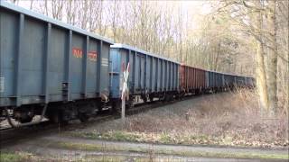 Nohab MY 1149 mit Güterzug zwischen Weferingen und Magdeburg am 72 2014 [upl. by Lanta]