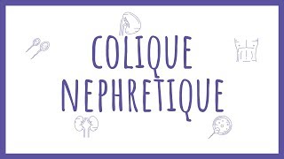 Sémiologie Urologique  La Colique Néphrétique [upl. by Htnamas]