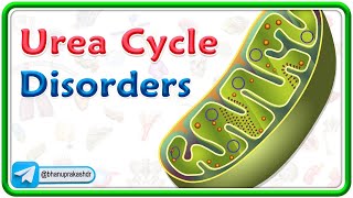 Urea Cycle Disorders Animation  USMLE Step 1 [upl. by Ardnosac]