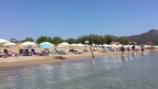 Surprising Moment On Kalamaki Beach Zakynthos [upl. by Kristoforo]