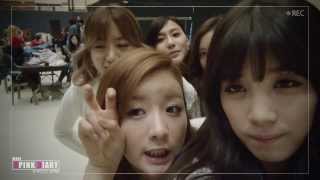 140131 Apink Mini Diary Happy New Year 2014 [upl. by Ecnarepmet]