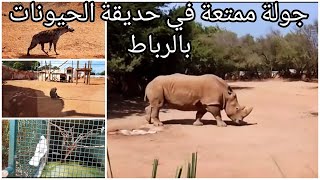 جولة رائعة في حدييقة الحييونات بالرباطjardin zoologique de RabatHayvanat Bahçesi fas [upl. by Belford]