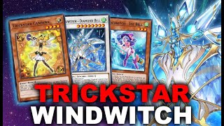 MAKE THE META BURN TRICKSTAR WINDWITCH Combo Guide Deck Profile  Gameplay YuGiOh Master Duel [upl. by Athena]