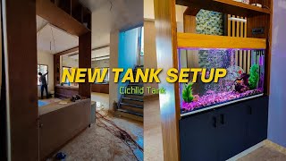 New Fish Tank Setup [upl. by Norac]