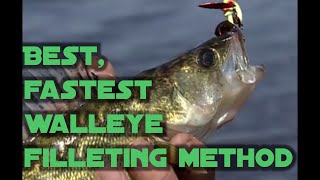 Best fastest walleye filleting method for maximum meat [upl. by Elledoj702]