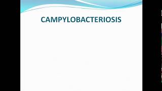 Campylobacteriosis ppt [upl. by Milla]