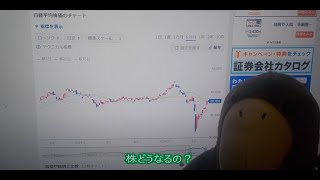 ハシビロー「日経平均どうなる？青汁王子だいじょうぶ？」 [upl. by Corrina]