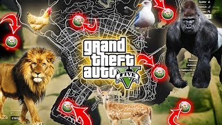 GTA 5  All New Peyote Plants Location Guide in Story Mode XBOX PC PS4 PS5 [upl. by Tihor188]