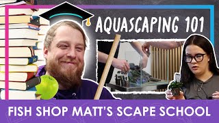 Aquarium Aquascaping for Beginners with FishShopMatt [upl. by Standush]