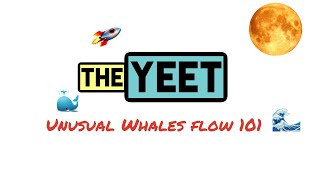 Flow 101 Video Tutorial Using the Unusual Whales Flow Tool [upl. by Assenyl]