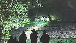 elephant shearch lightHathi bhagane ka torch torch searchlight wildlifeadvanturevlogger [upl. by Irehc]